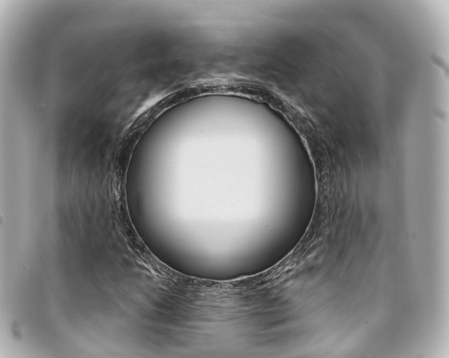 X0000094451206200711081040