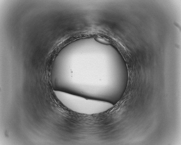 X0000094451207200711081040