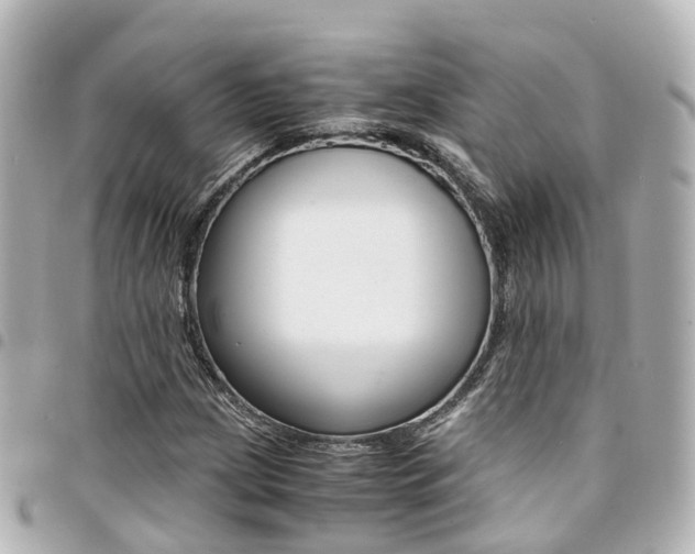 X0000094451209200711081040