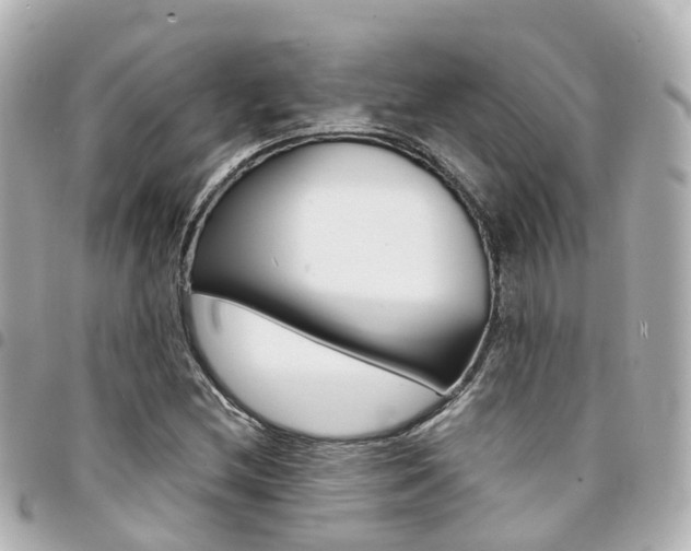 X0000094451212200711081040