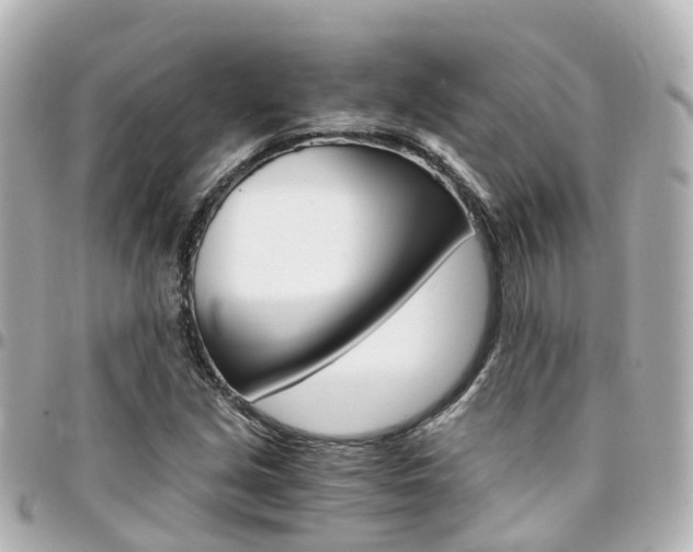 X0000094451213200711081040