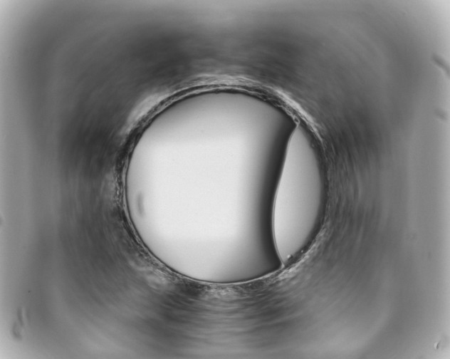 X0000094451215200711081040