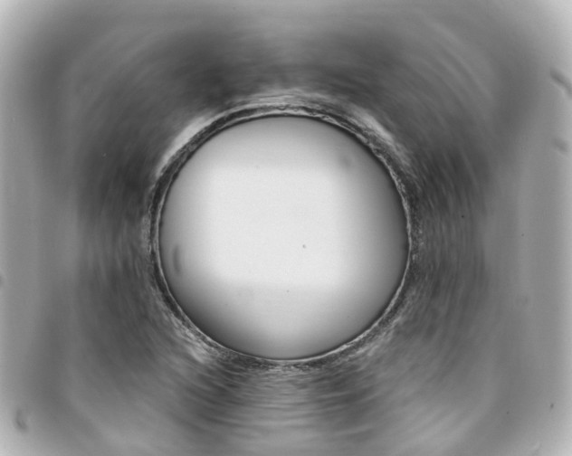 X0000094451216200711081040