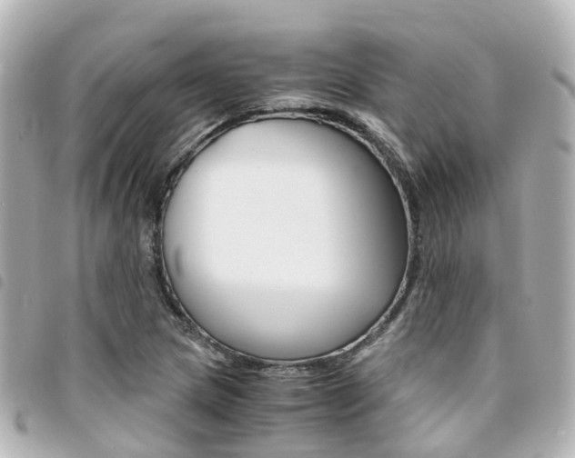 X0000094451217200711081040