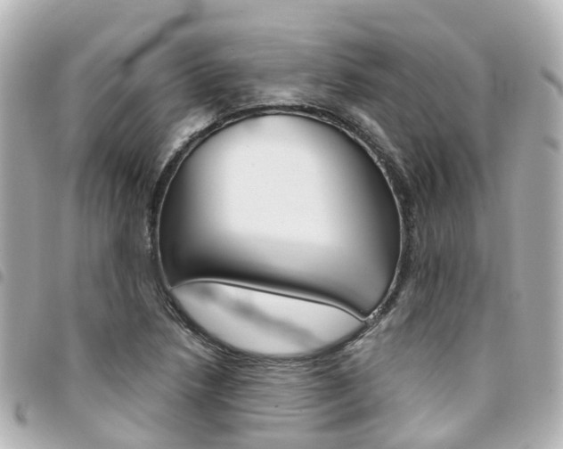 X0000094451218200711081040