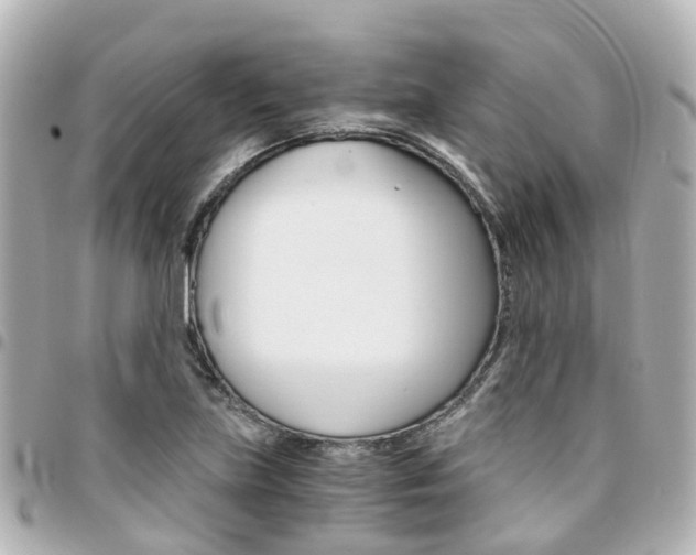 X0000094451219200711081040