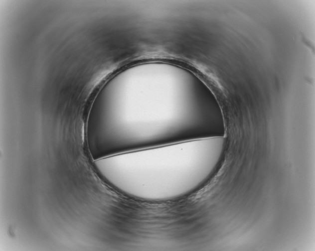 X0000094451221200711081040