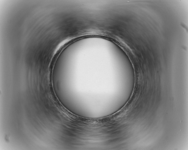 X0000094451222200711081040