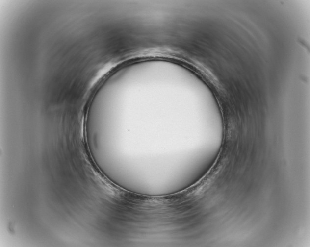 X0000094451224200711081040