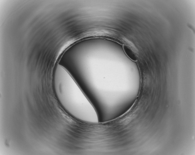 X0000094451226200711081040