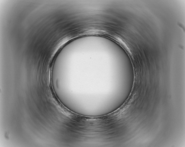 X0000094451227200711081040