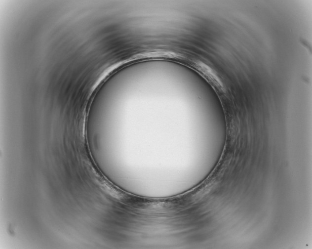 X0000094451228200711081040