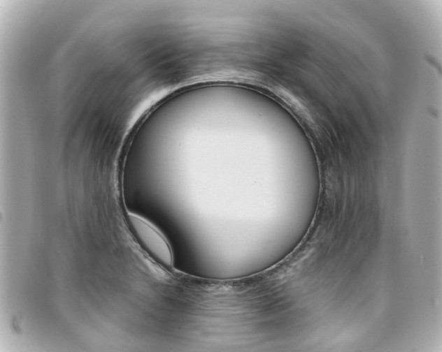 X0000094451230200711081040