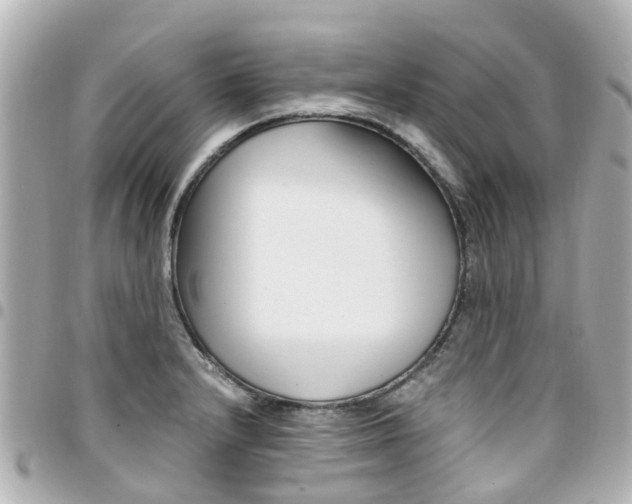 X0000094451232200711081040