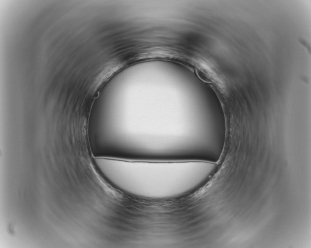 X0000094451233200711081040