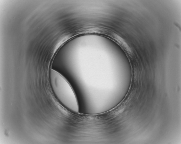 X0000094451234200711081040