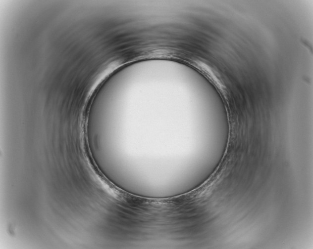 X0000094451235200711081040