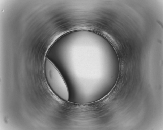 X0000094451236200711081040
