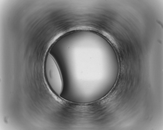 X0000094451237200711081040