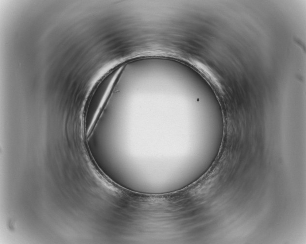 X0000094451238200711081040