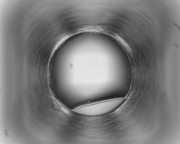 X0000094451240200711081040