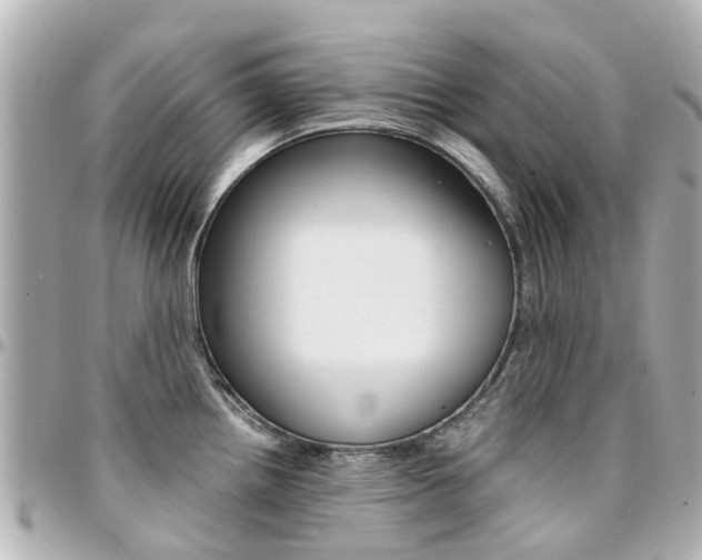 X0000094451242200711081040
