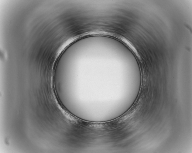 X0000094451245200711081040