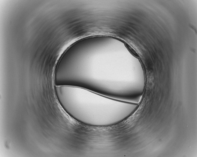 X0000094451246200711081040