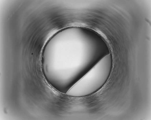 X0000094451248200711081040