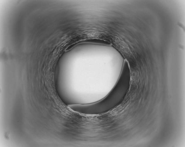 X0000094451249200711081040