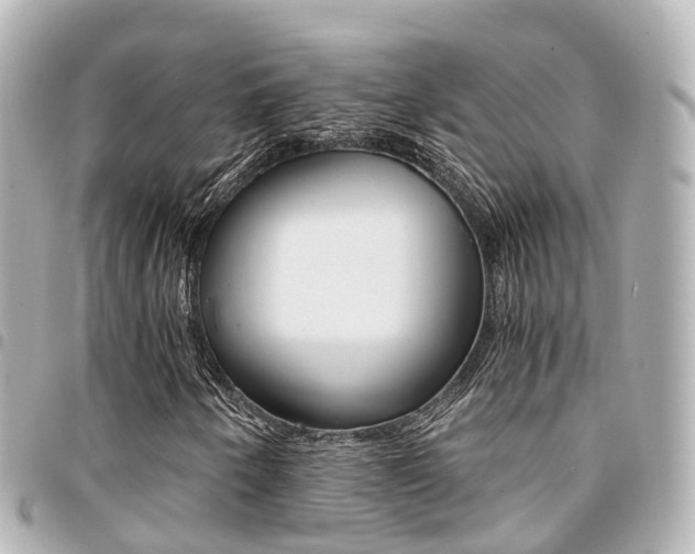 X0000094451250200711081040
