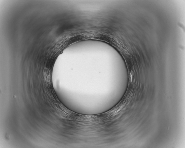 X0000094451251200711081040
