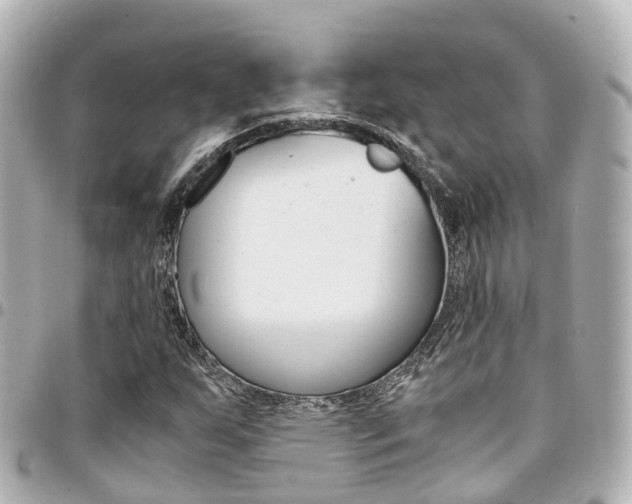 X0000094451255200711081039