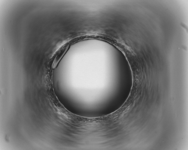 X0000094451256200711081039