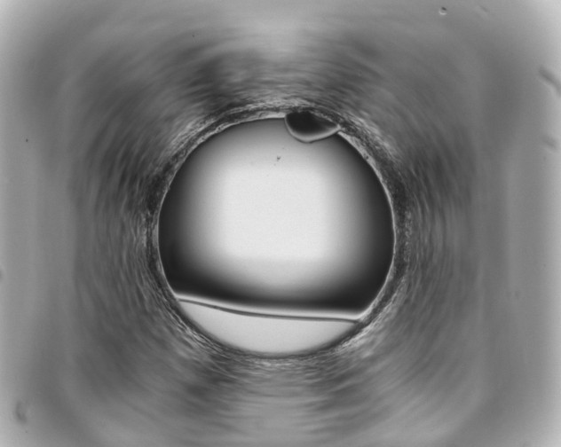 X0000094451257200711081039