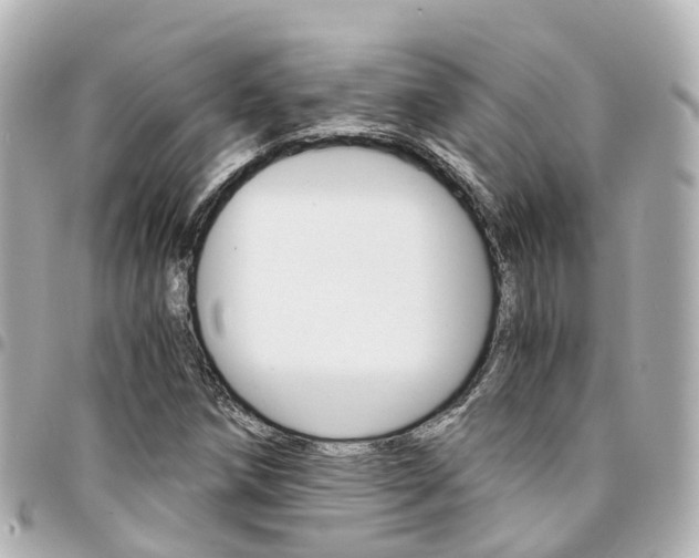 X0000094451258200711081039