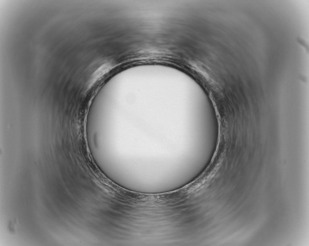X0000094451259200711081039