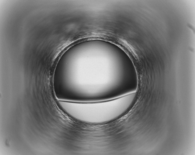 X0000094451260200711081039