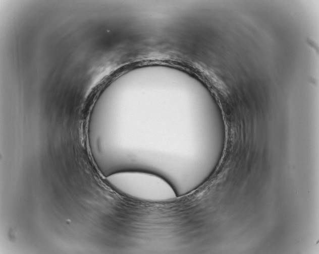 X0000094451262200711081039