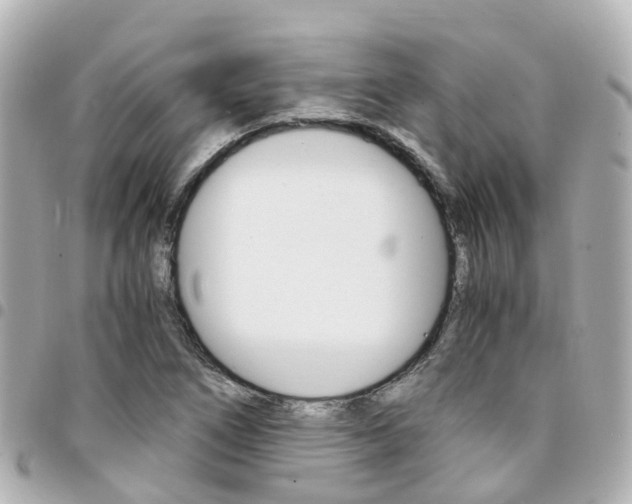X0000094451266200711081039