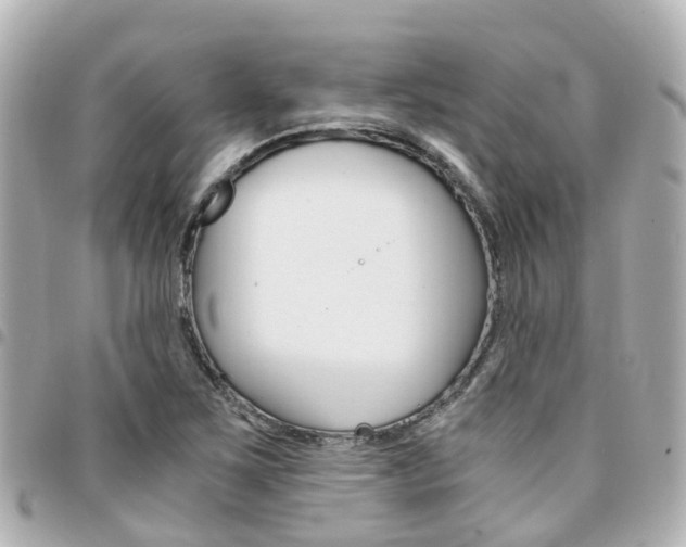 X0000094451267200711081039
