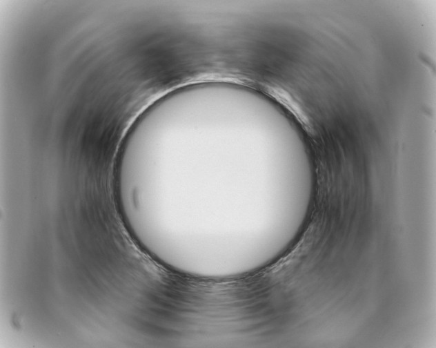 X0000094451268200711081039