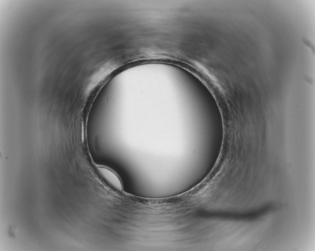 X0000094451269200711081039