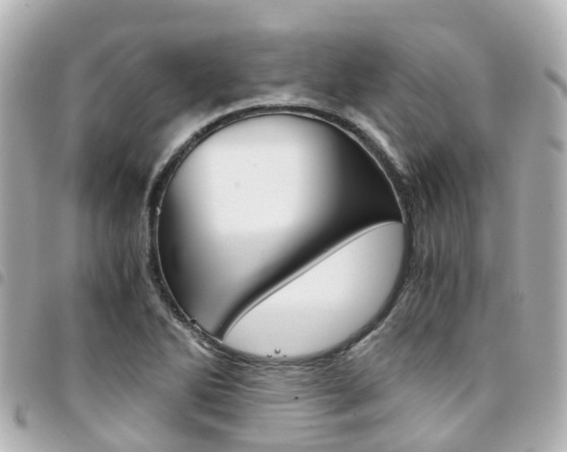 X0000094451270200711081039