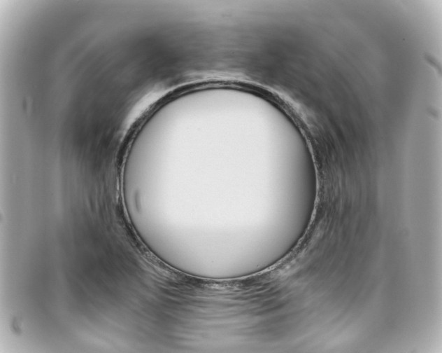 X0000094451271200711081039