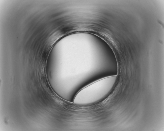 X0000094451273200711081039