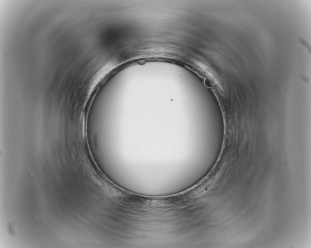 X0000094451275200711081039