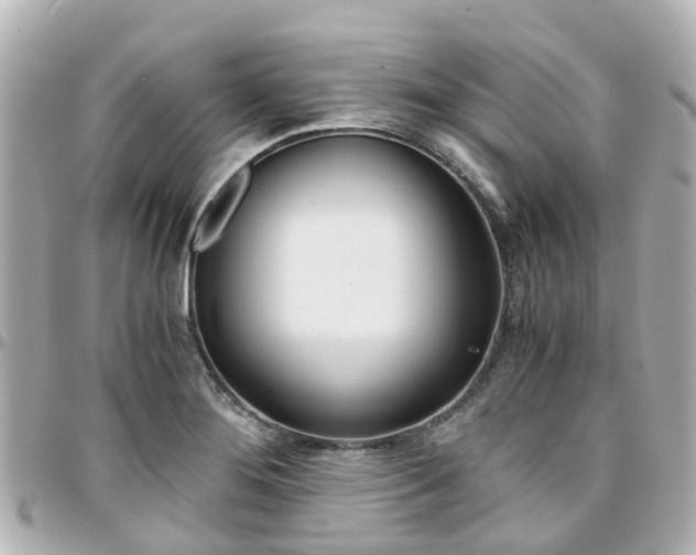 X0000094451276200711081039