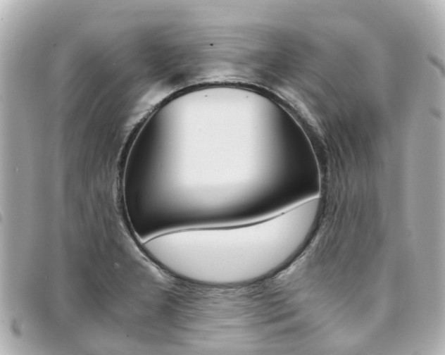 X0000094451277200711081039