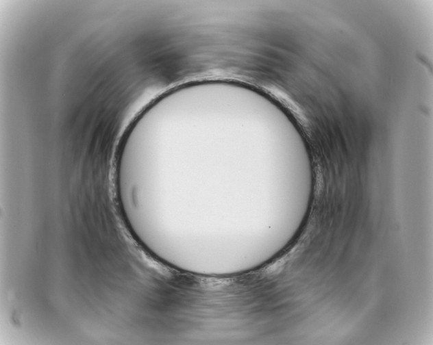 X0000094451278200711081039